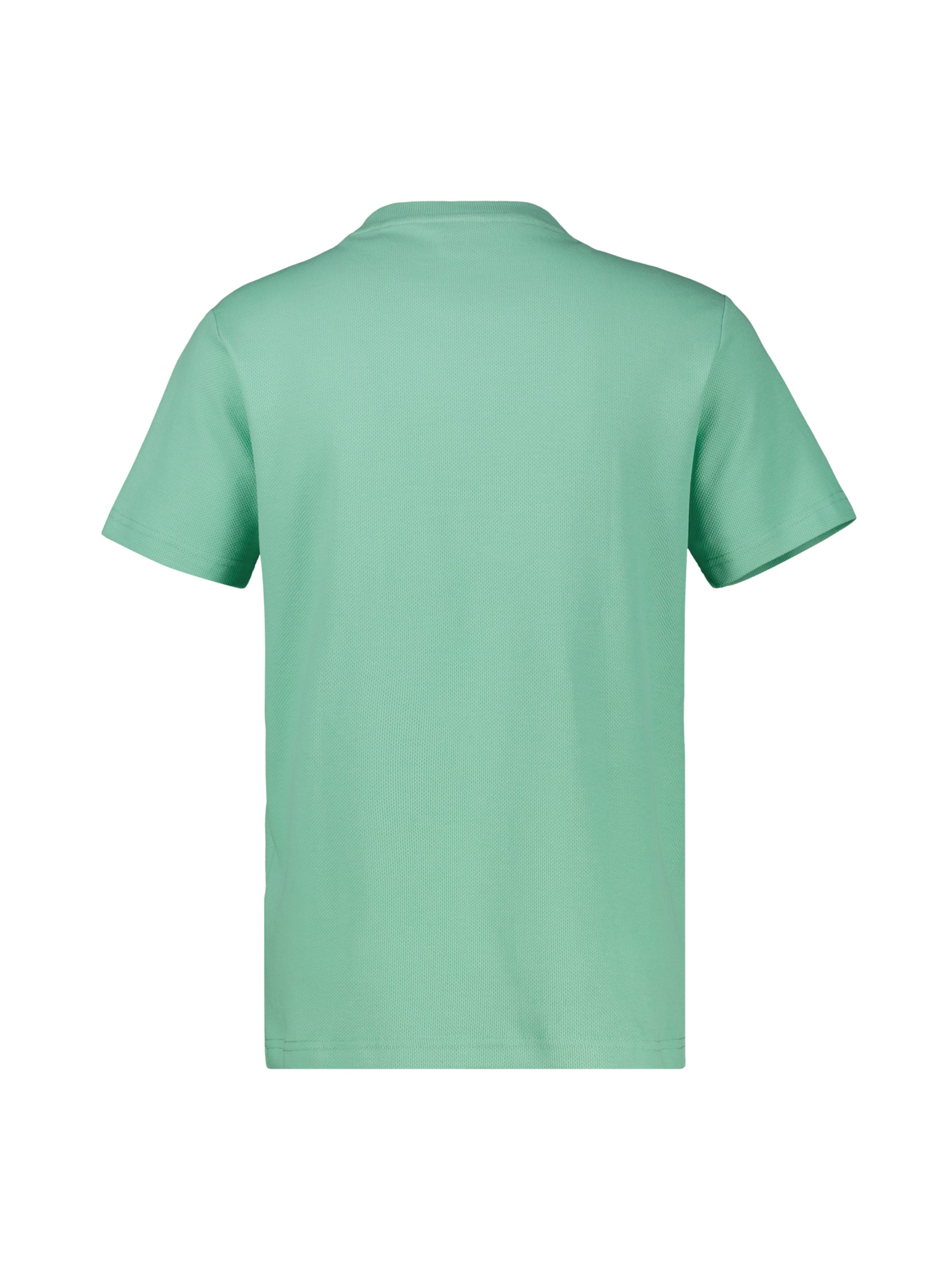 LERROS Shirt in Green