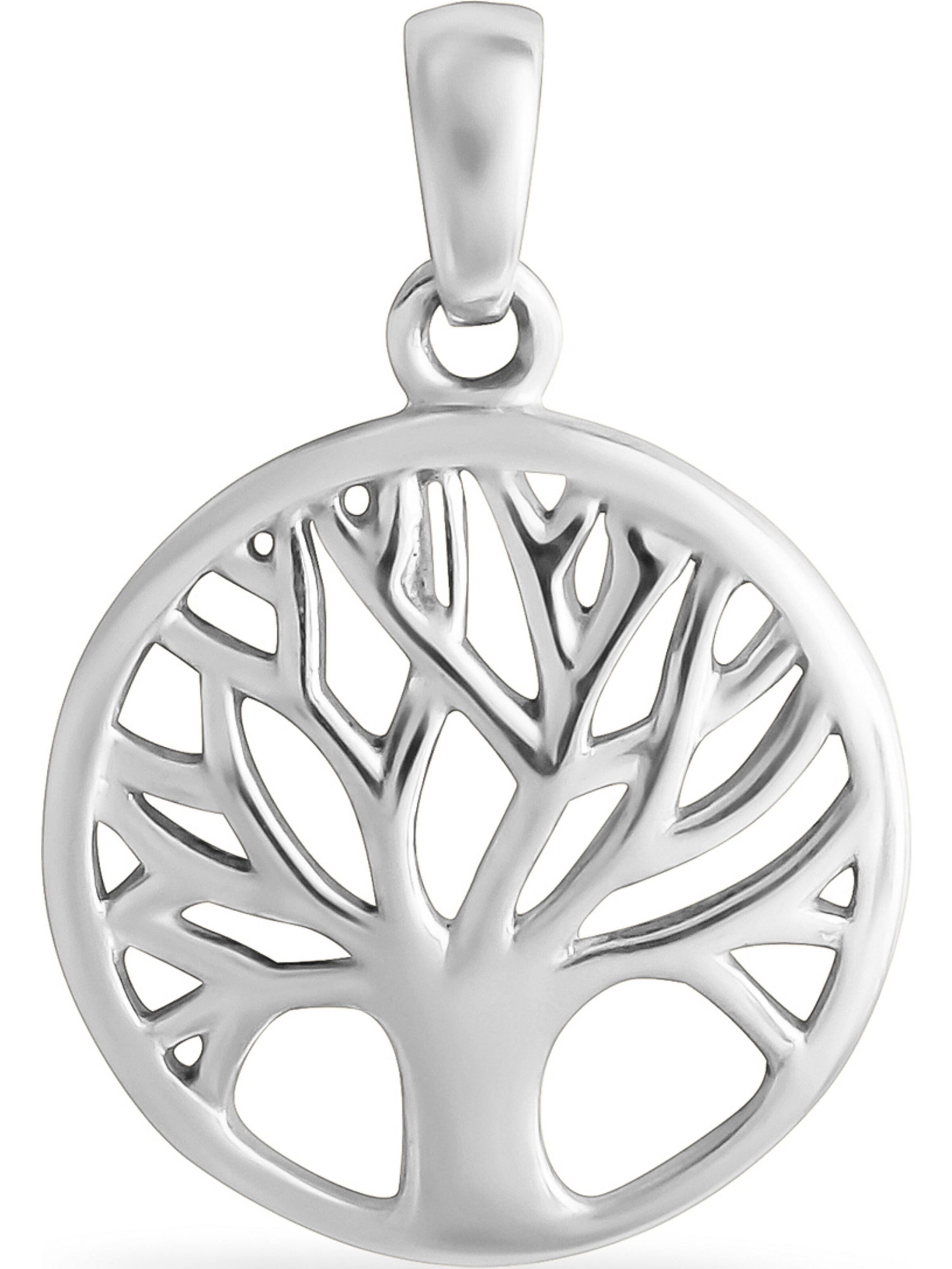 FAVS Anhänger in Silber: Vorderseite