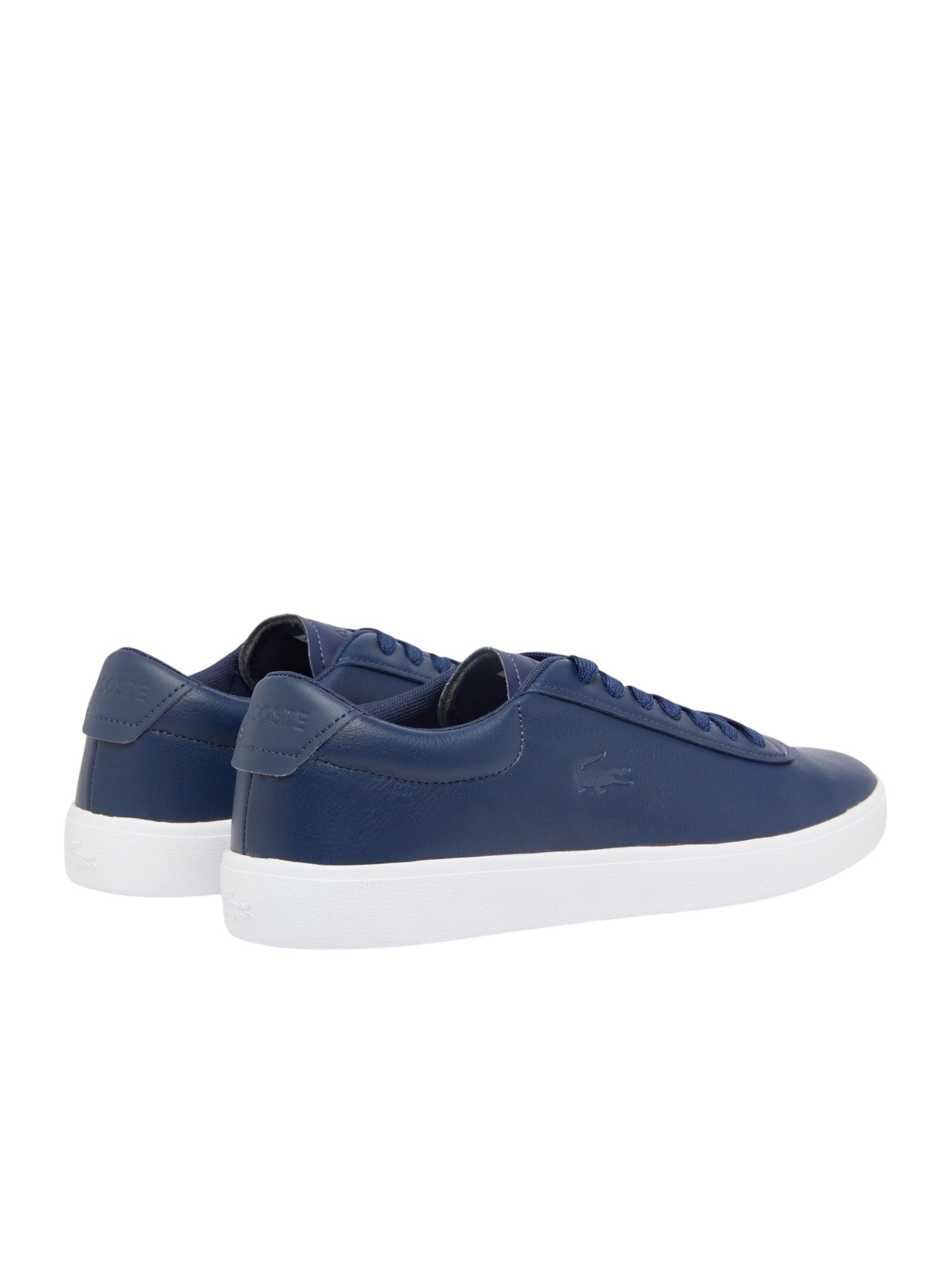 Baskets basses 'Baseshot Evo' LACOSTE en bleu
