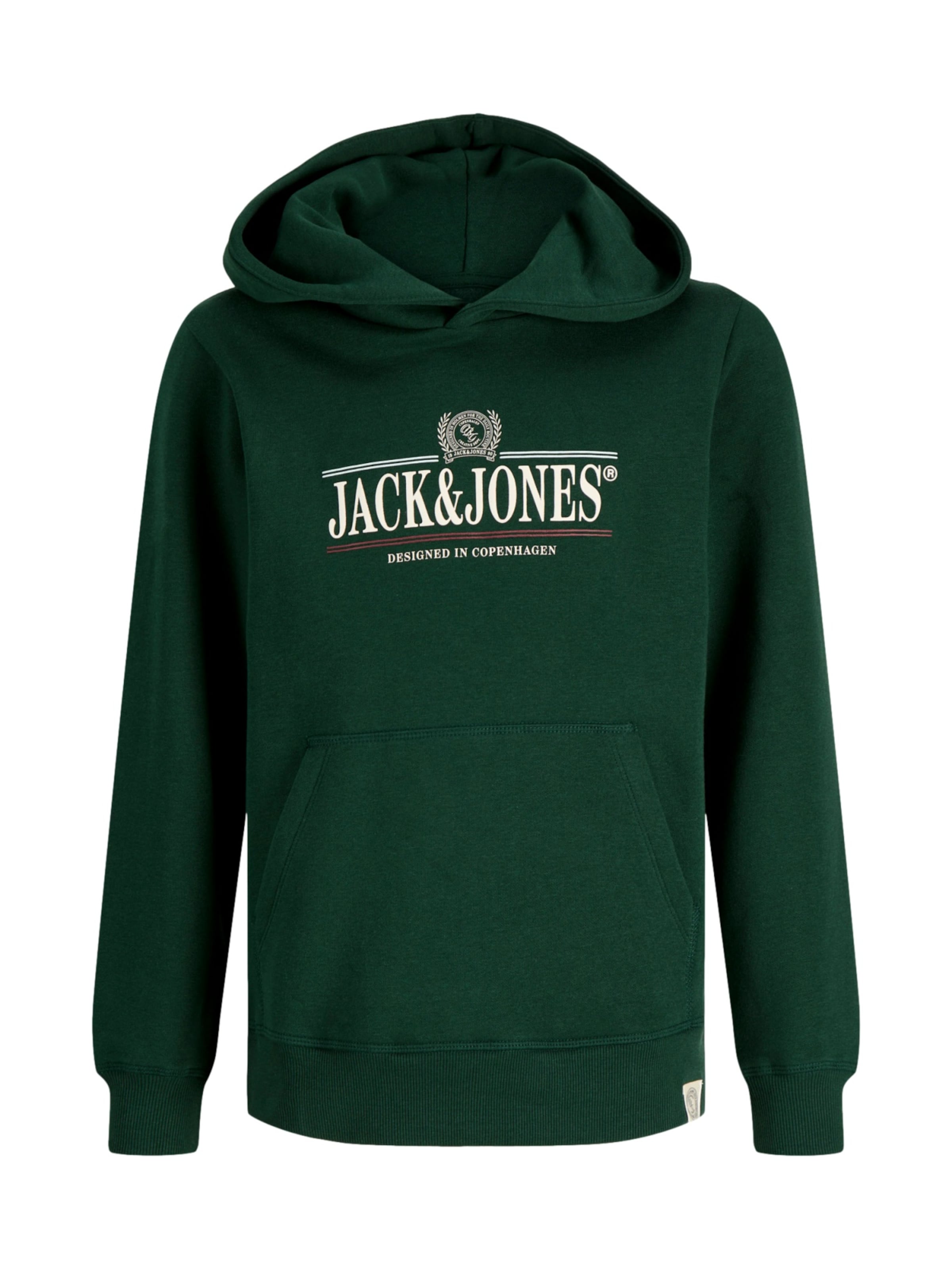 Jack & Jones Junior - Sudadera 'JORFREDERIKSBERG' en verde: frente