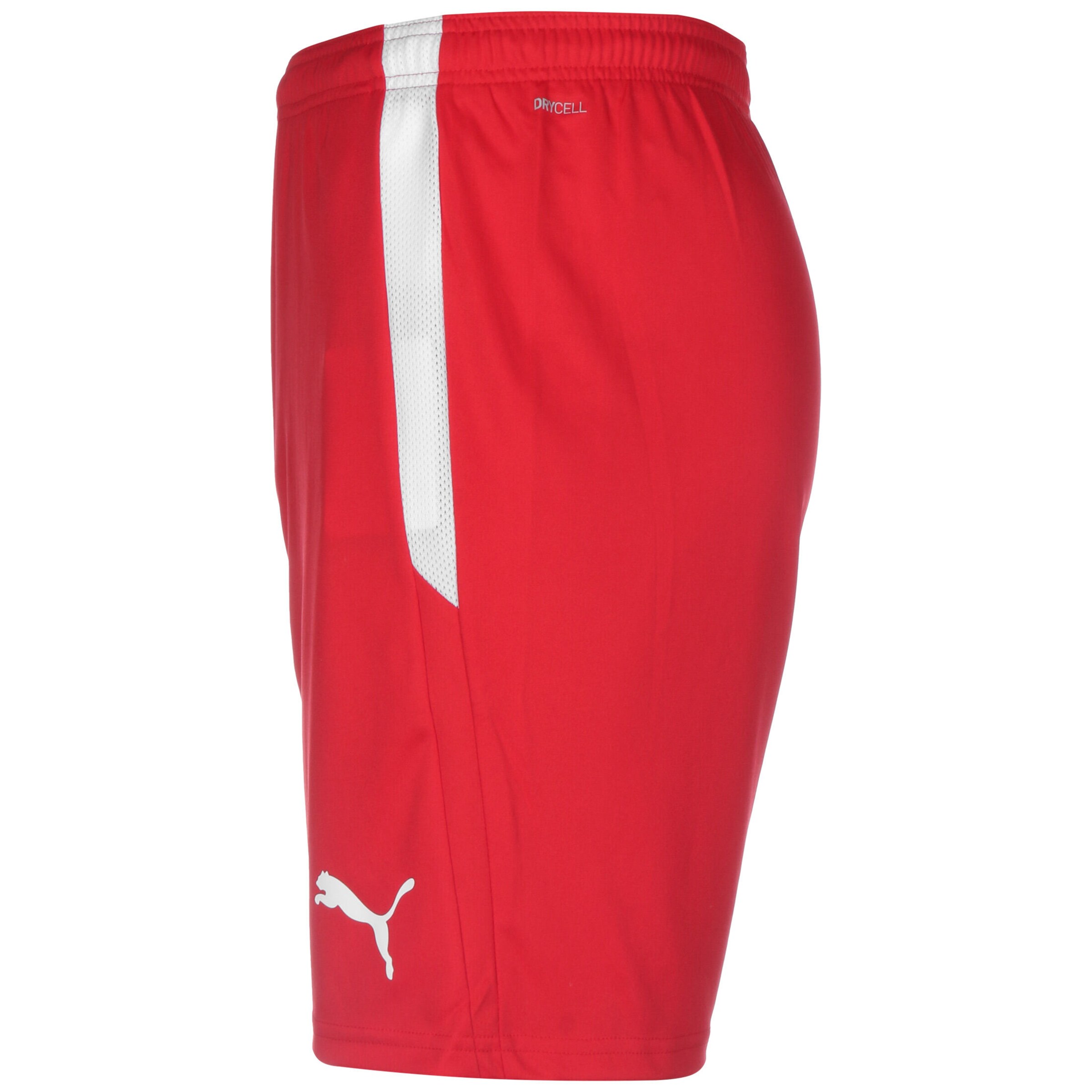 PUMA Regular Workout Pants 'TeamLiga' in Red