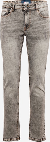 Denim Project Jeans 'Mr Red' in Grey: front