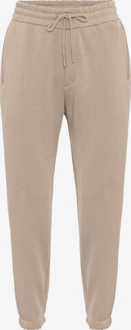 Effilé Pantalon Antioch en gris : devant