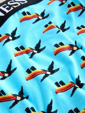 Next Boxershorts in Mischfarben