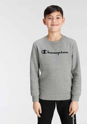 Champion Authentic Athletic Apparel Sweatshirt in Grey: front