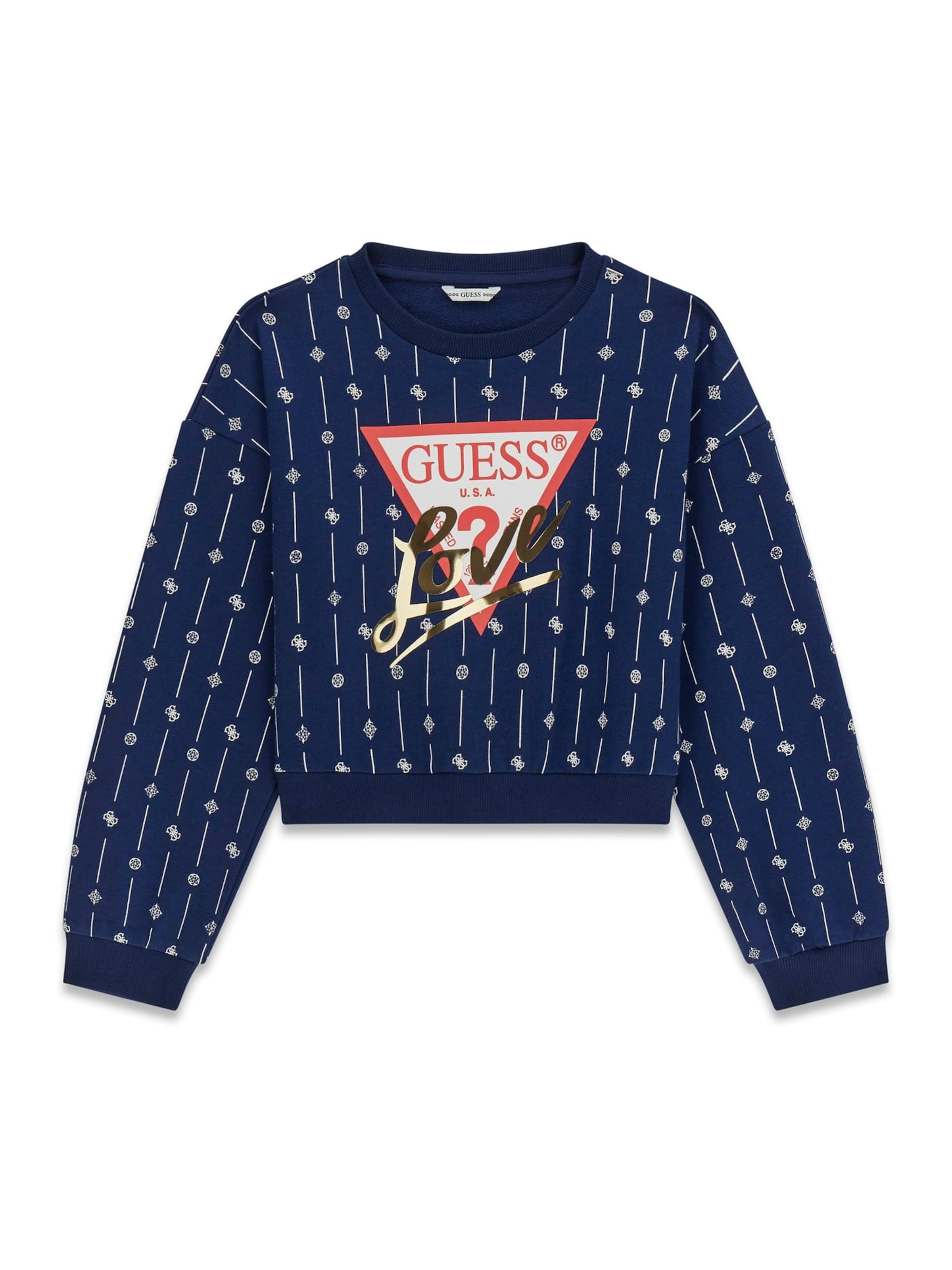 GUESS Sweatshirt in Blau: Vorderseite
