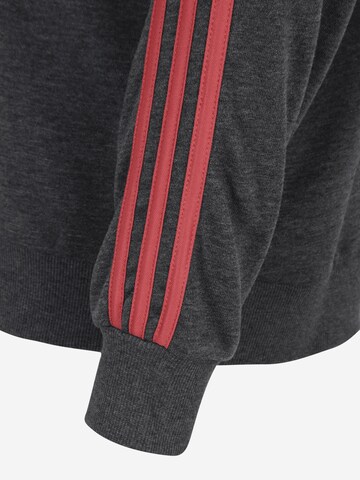 ADIDAS SPORTSWEAR Спортен суитшърт с качулка 'Essentials Studio Lounge 3-Stripes' в сиво