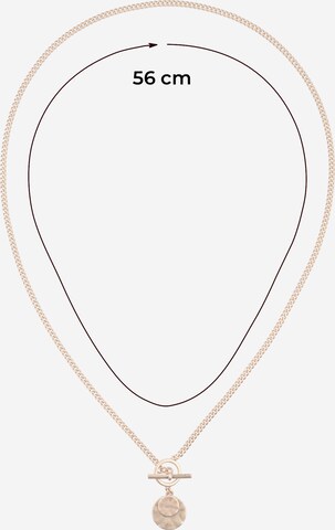 AllSaints Necklace in Gold