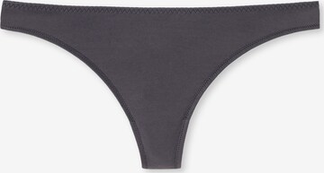 SCHIESSER Thong ' Invisible Lace ' in Grey