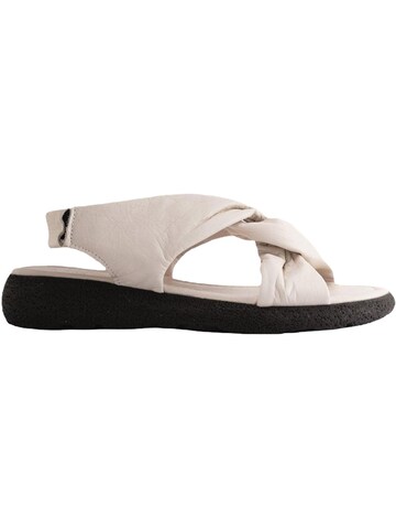 Limoya Sandaal 'Jennie' in Beige