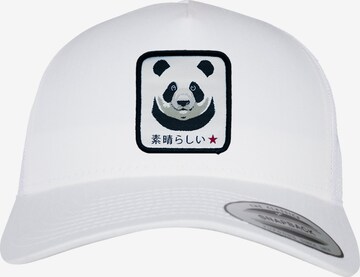 F4NT4STIC Cap in White: front