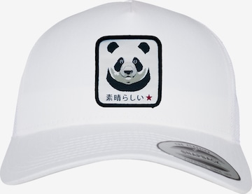 F4NT4STIC Cap in White: front