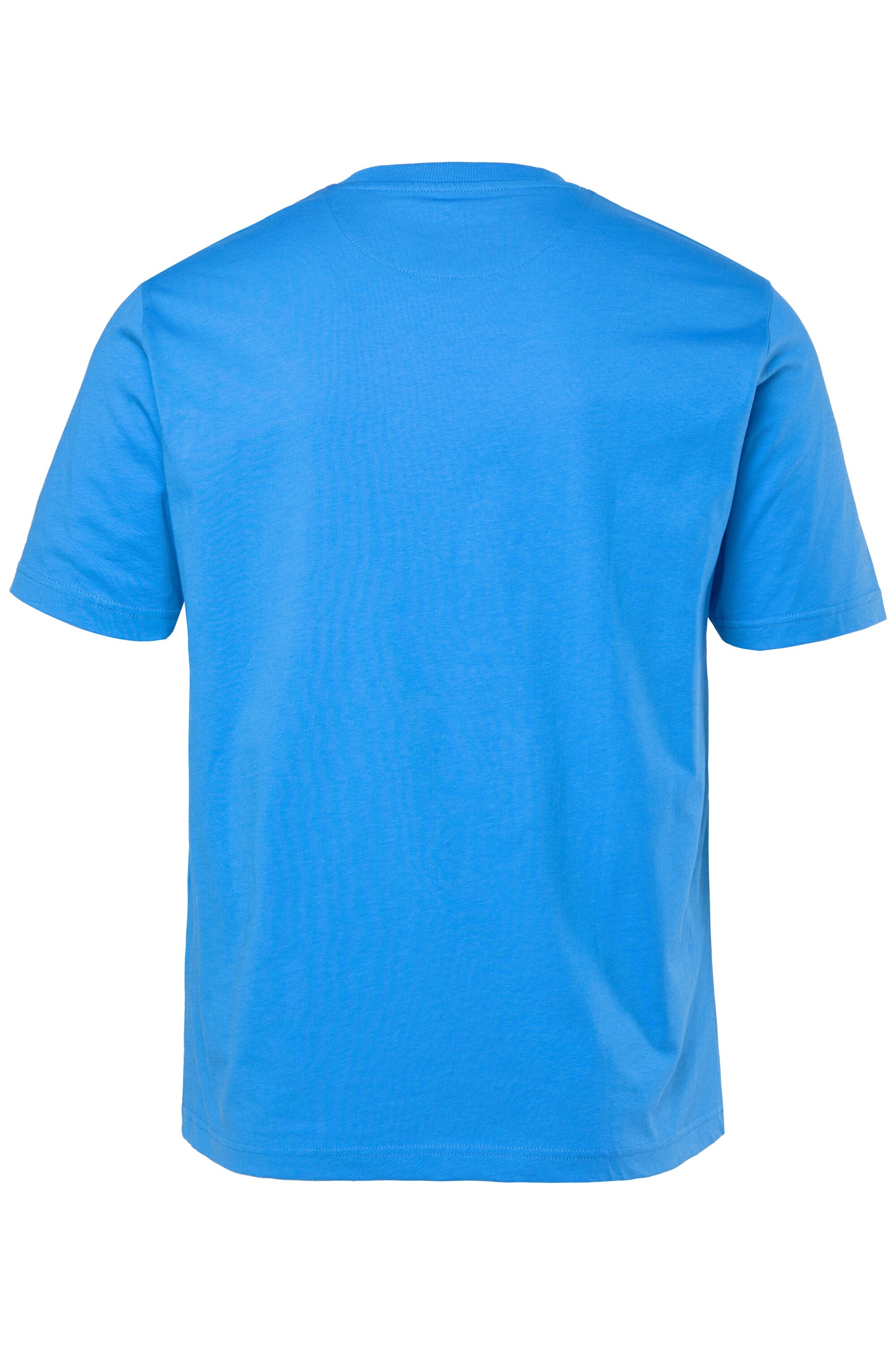 Men Plus Shirt in Blue