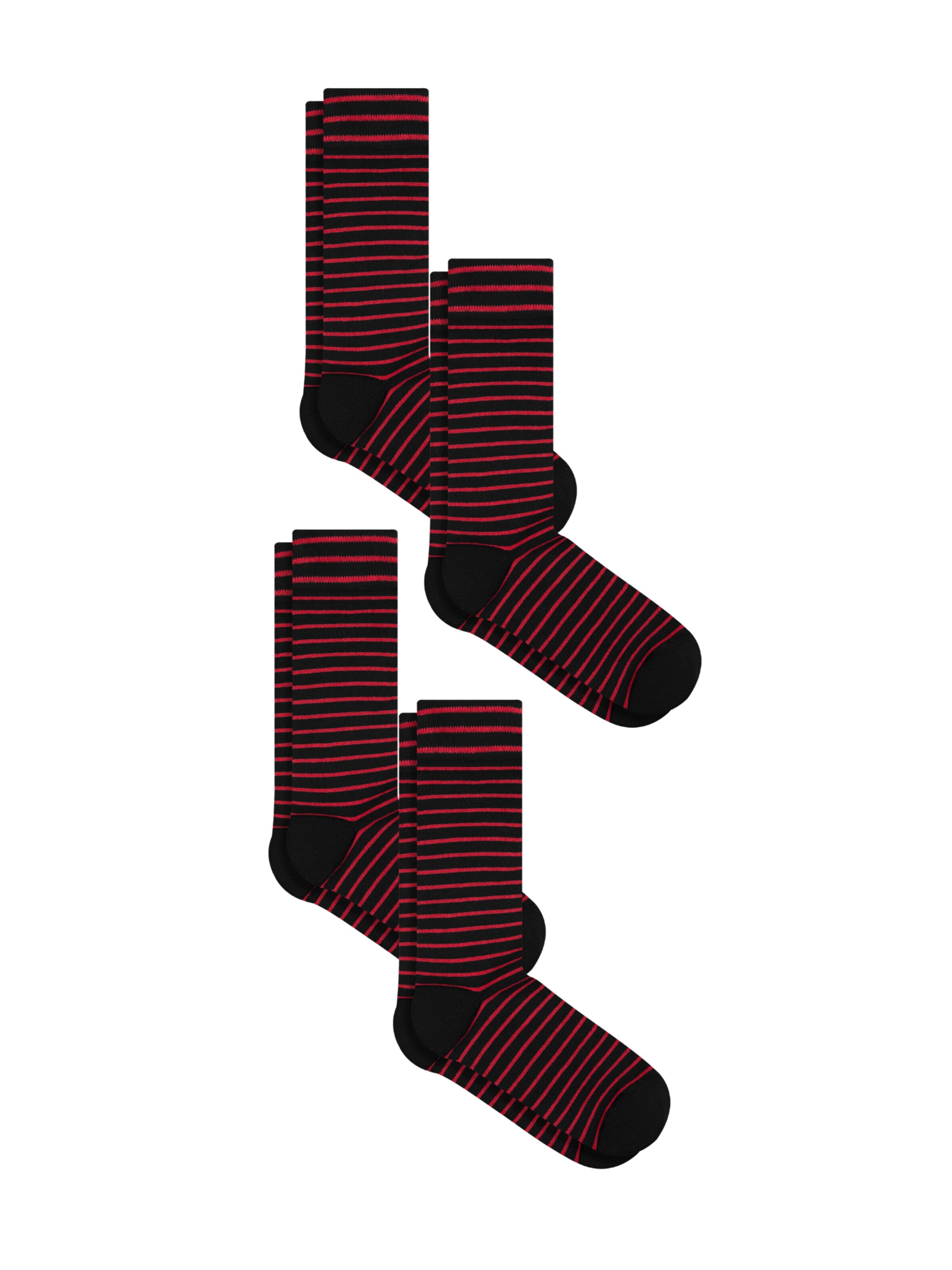 Albero Natur Socks 'Bio-Baumwoll-Socken mit längerem Bündchen - 4er Pack' in Black: front