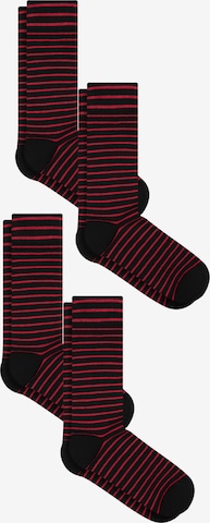 Albero Natur Socks 'Bio-Baumwoll-Socken mit längerem Bündchen - 4er Pack' in Black: front