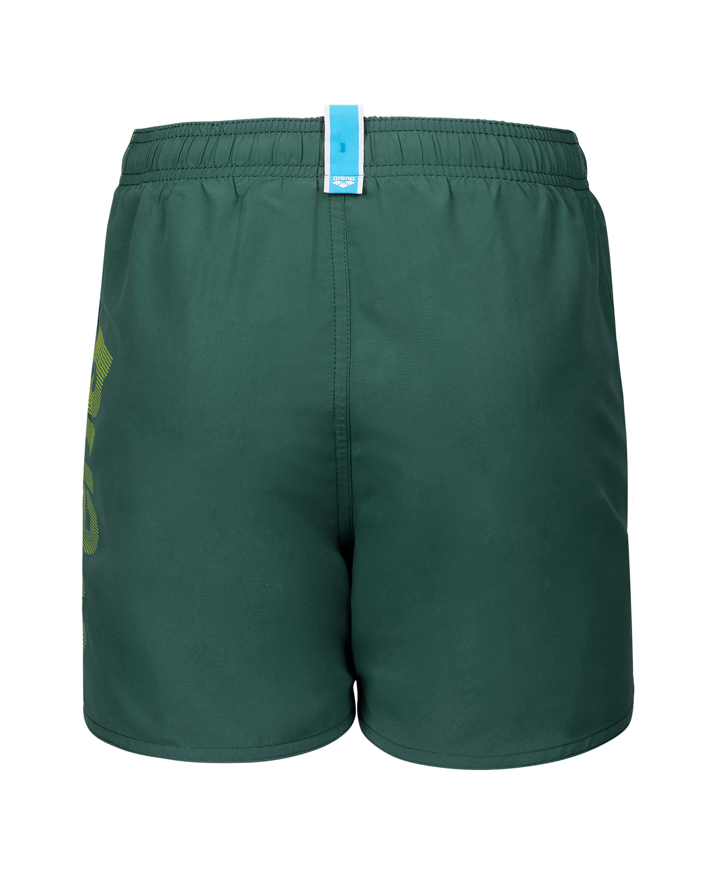 ARENA Athletic Swimwear in Green
