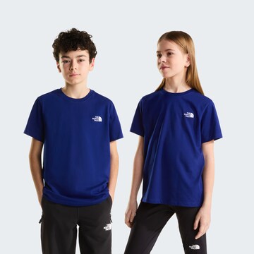 THE NORTH FACE Performance Shirt 'Evolution' in Blue: front