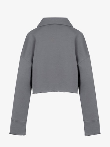 FEMSSY Sweatshirt 'COLLAR SWEATSHIRT GREY' i grå