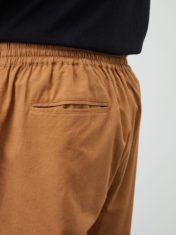 DAN FOX APPAREL Regular Trousers 'Kai' in Brown