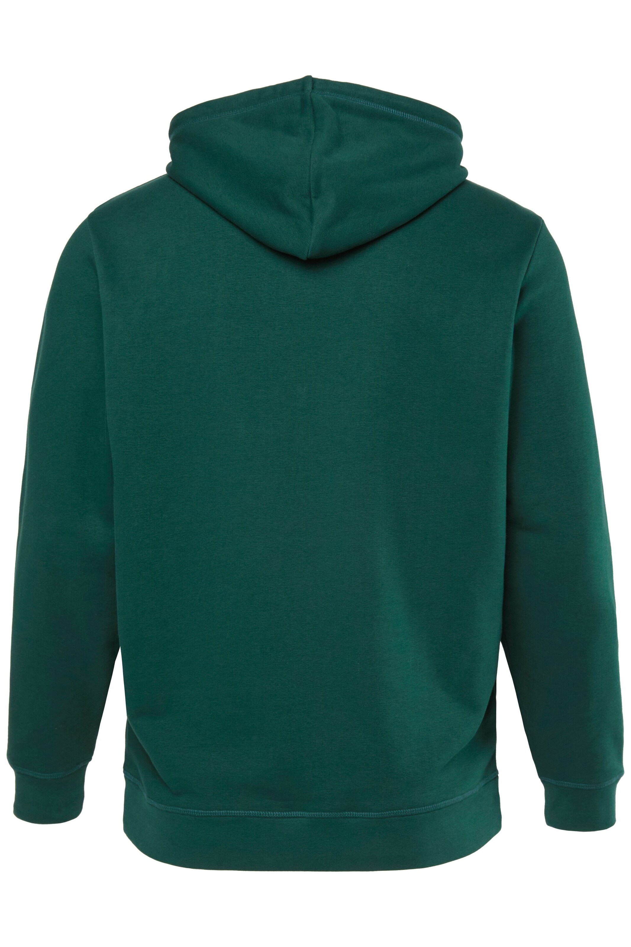 JAY-PI Sweatshirt in Green