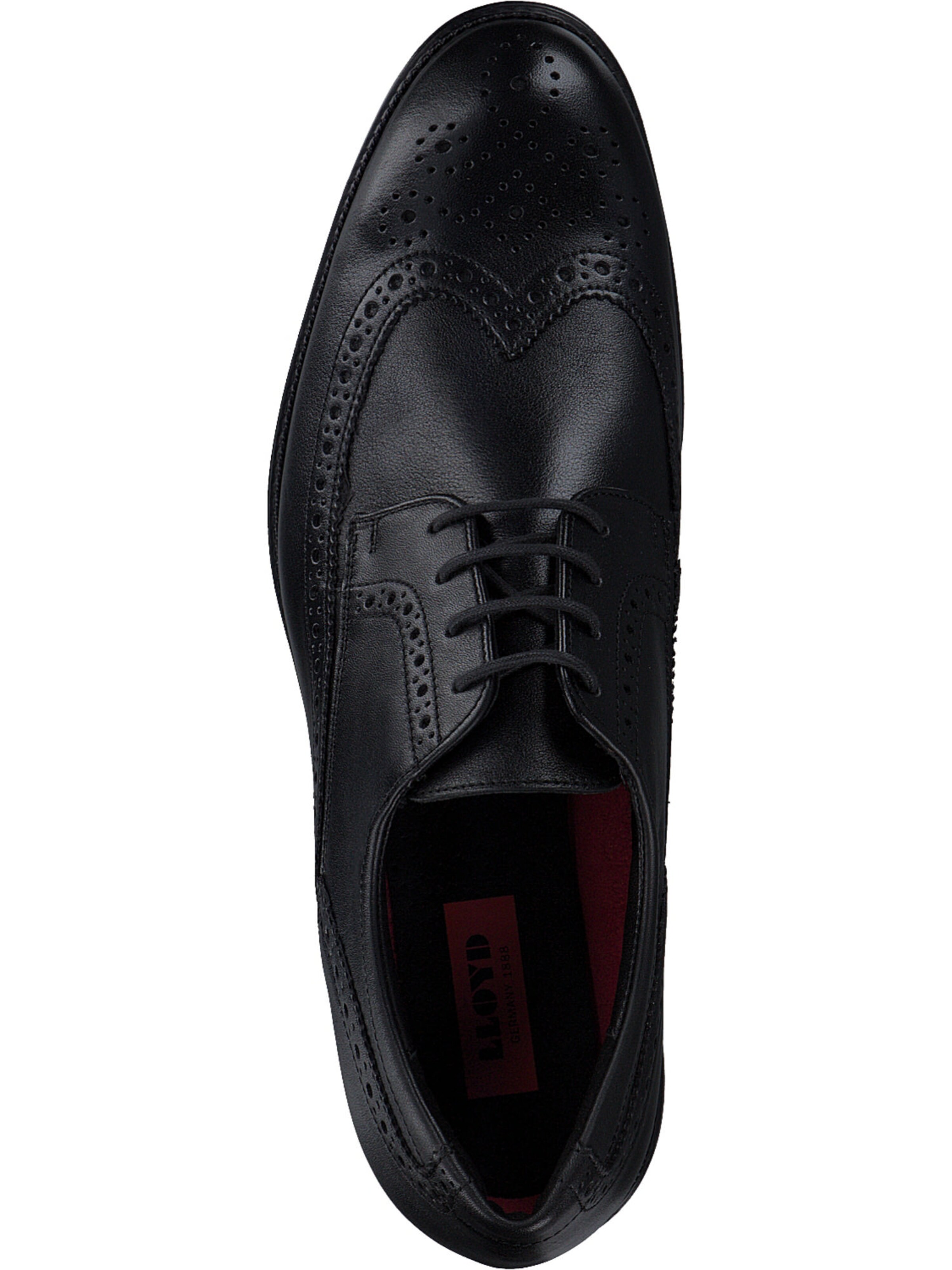 LLOYD Veterschoen 'Tampico' in Zwart