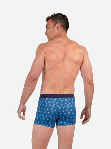 HOM Boxer shorts ' HO1 Beachcomber ' in Blue