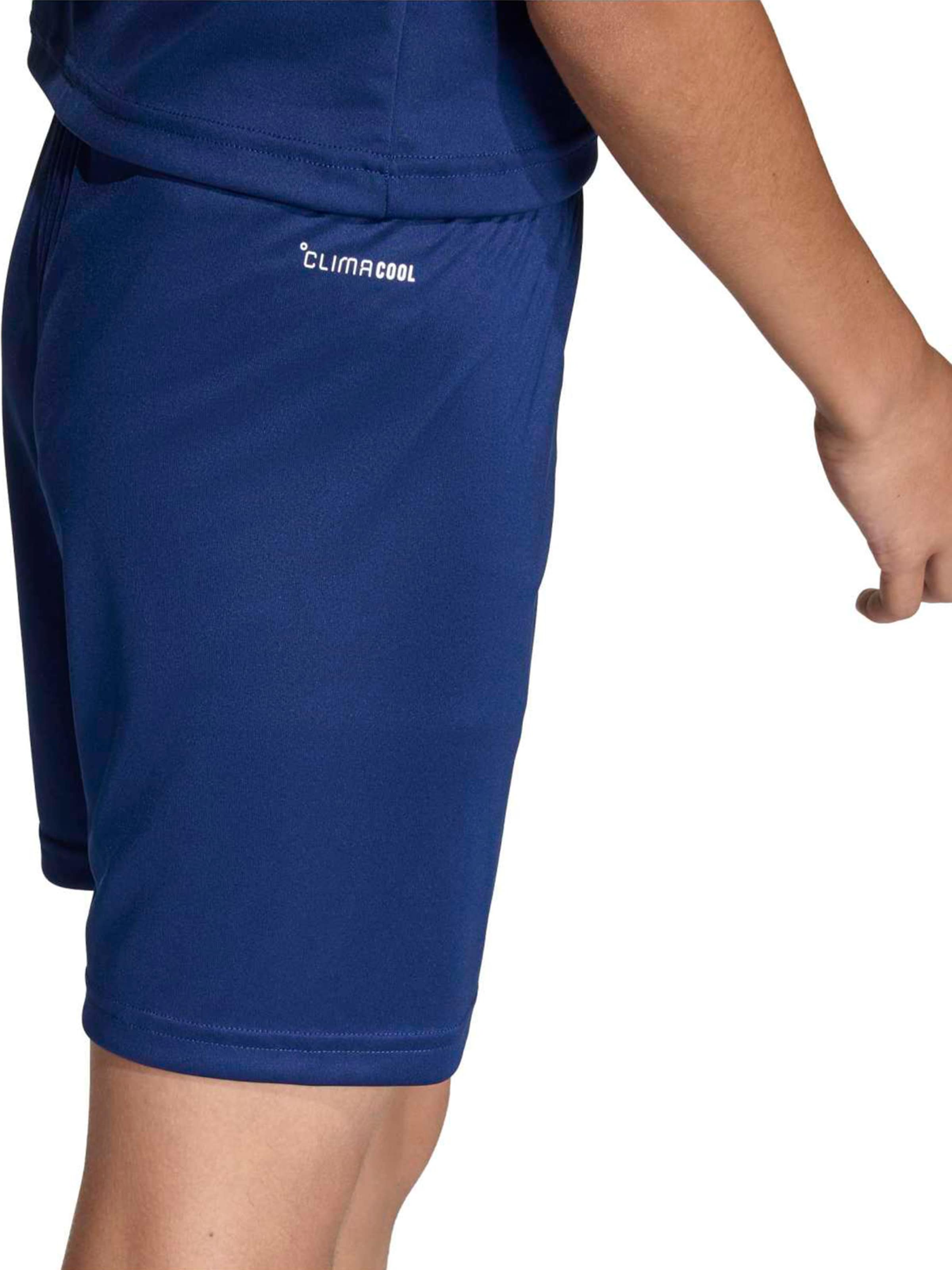 ADIDAS PERFORMANCE Regularen Športne hlače 'ENT26' | modra barva