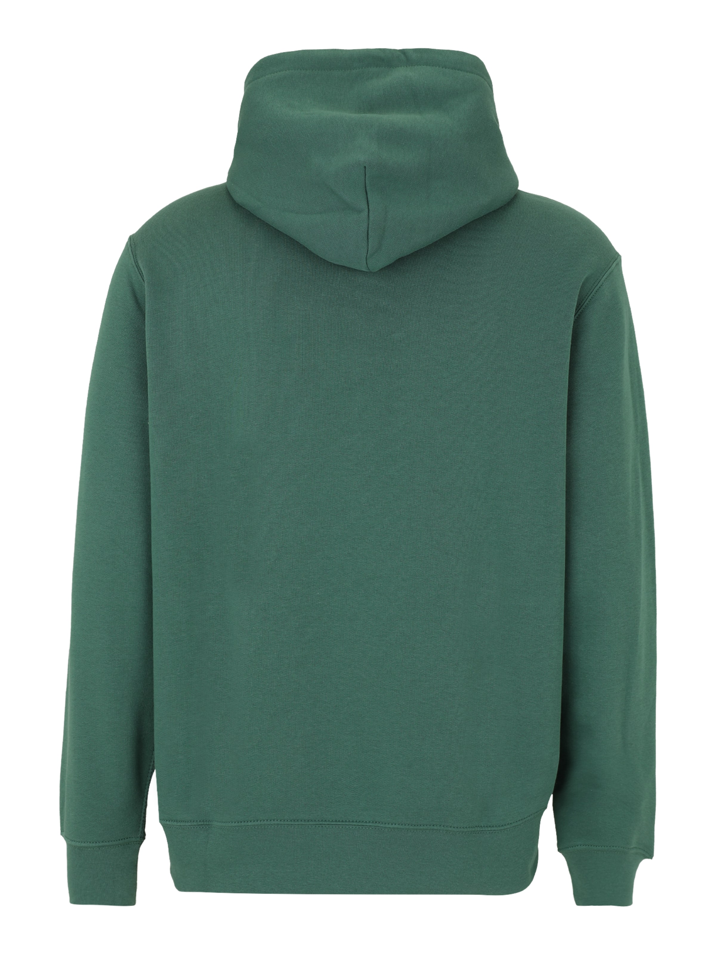 Polo Ralph Lauren Sweatshirt in Green