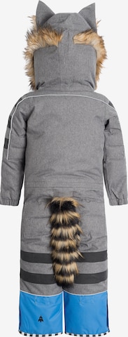 WeeDo Athletic Suit 'RACOONDO' in Grey