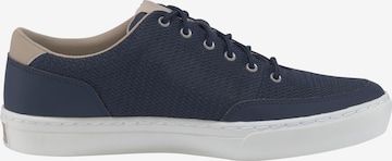 TIMBERLAND Sneaker in Blau