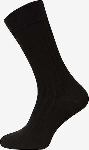 HomeOfSocks Socken 'Ein Paar Bio Baumwoll Kamelhaar Basic Business Wollsocke - Extra Weich und Angenehmer Halt' in Blau: Vorderseite