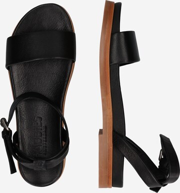 SHABBIES AMSTERDAM Strap Sandals in Black