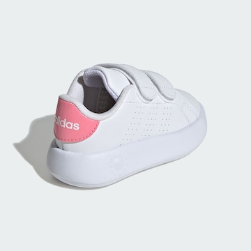 ADIDAS ORIGINALS Trainers 'Advantage' in White