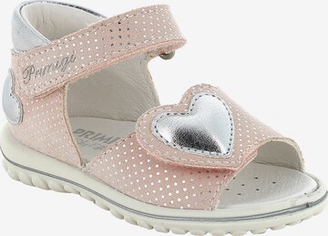 PRIMIGI Sandals & Slippers in Pink