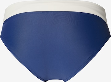 Esprit Maternity Bikini Bottoms in Blue