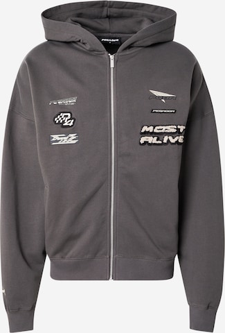 pilka Pegador Džemperis: priekis