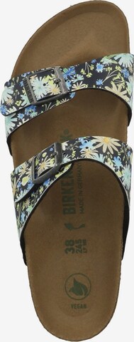 Mule 'Sydney' BIRKENSTOCK en mélange de couleurs