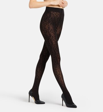 camano Fine Tights in Black