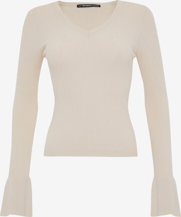 Threadbare Sweater 'Monica' in Beige: front