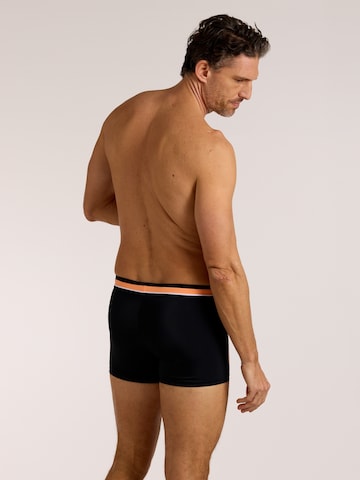 wavebreaker Badehose in Schwarz