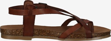 COSMOS COMFORT Sandalen met riem in Bruin