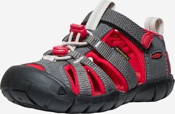 KEEN Sandals & Slippers in Grey: front