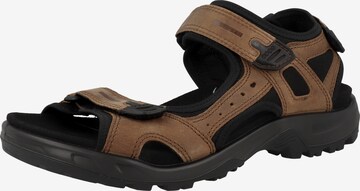ECCO Sandals 'Offroad' in Brown: front