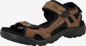 Sandalo da trekking 'Offroad' di ECCO in marrone: frontale