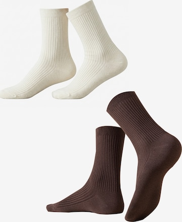 Millo Socks 'Cosy Steps Mix' in Brown: front