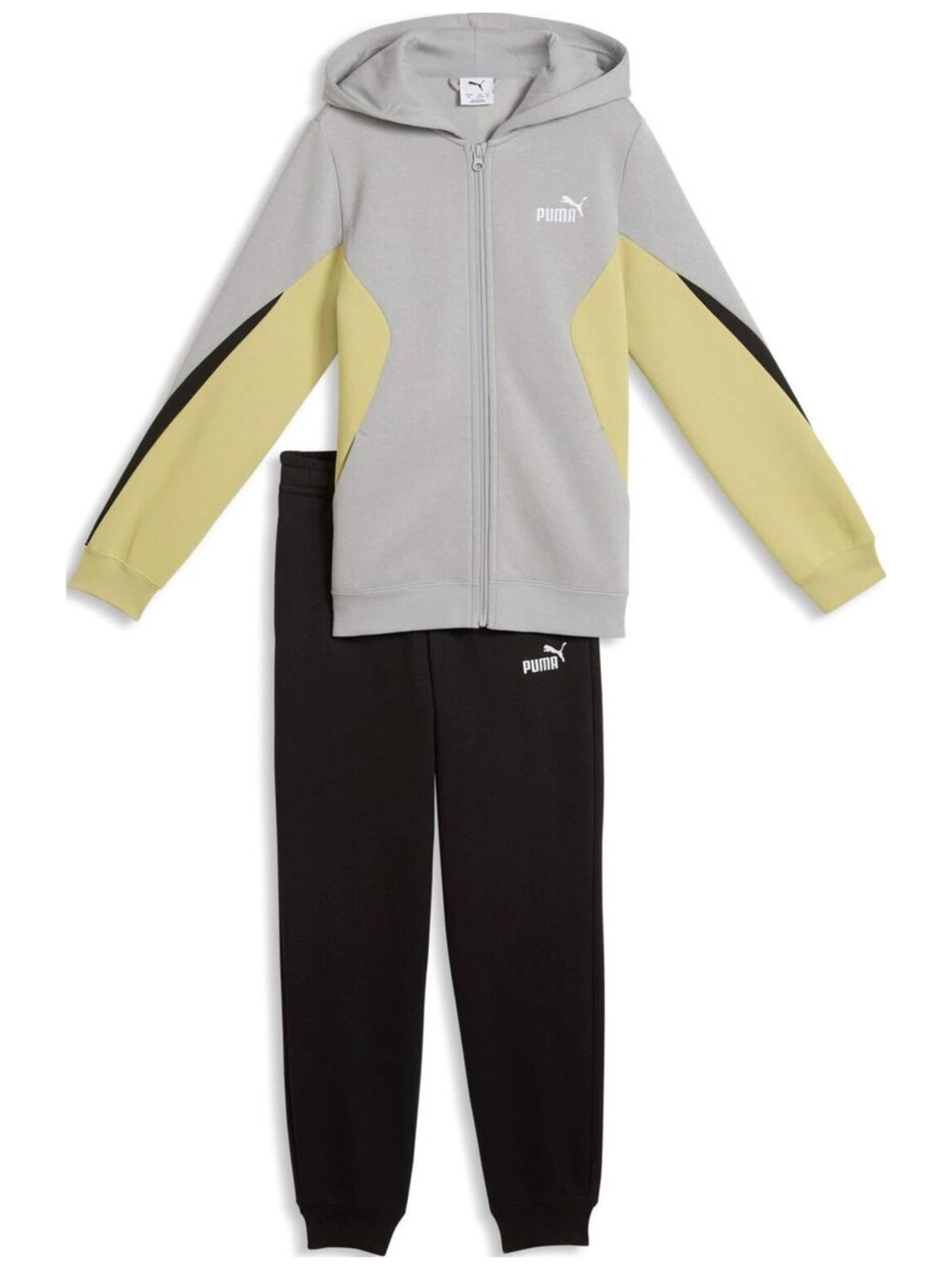 Giacca di felpa 'Puma Ess Block Full-zip Sweat Suit B' di PUMA in grigio