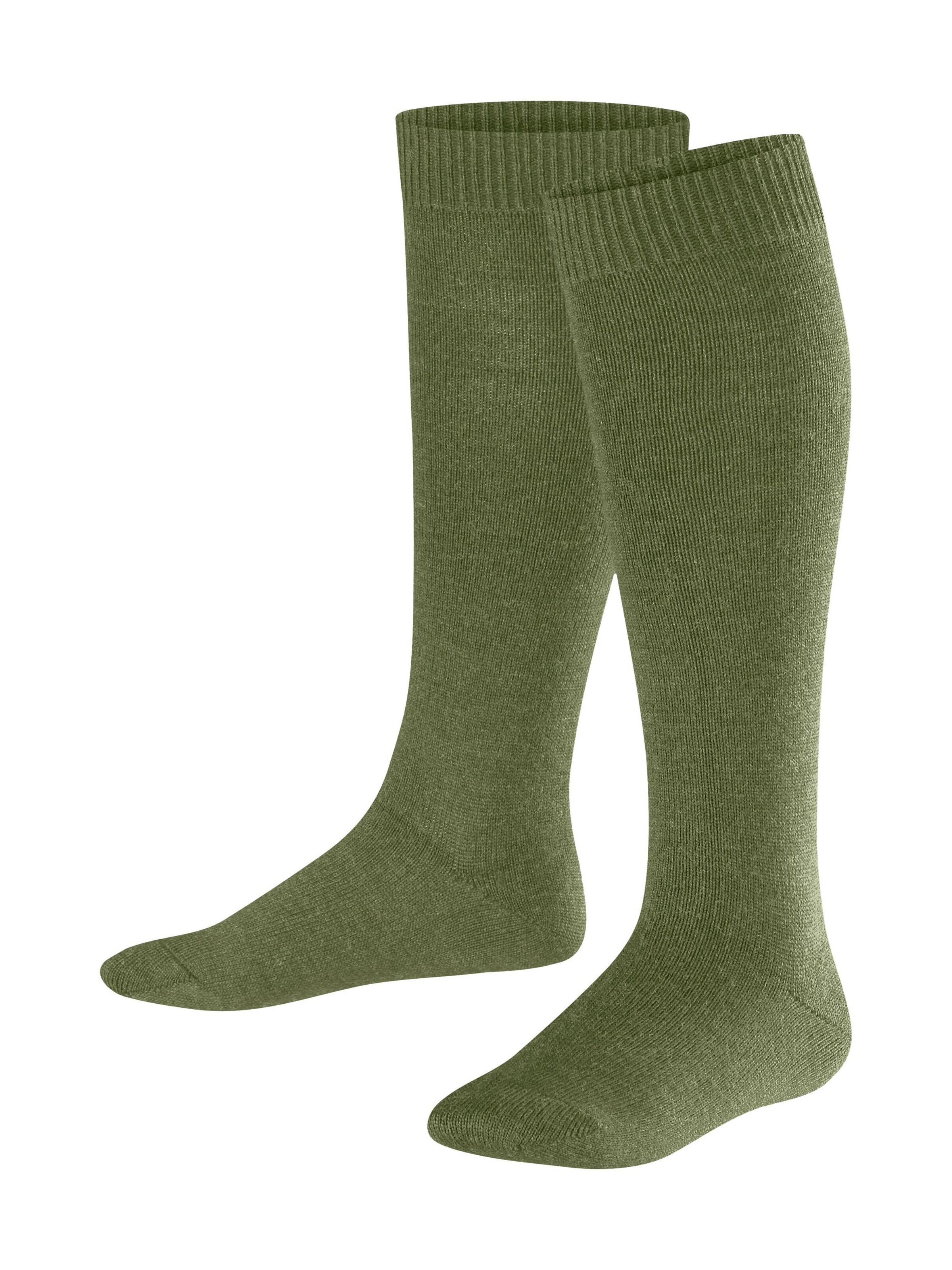 FALKE Socken 'Comfort Wool'‌‌‌‌‌‌‌‌‌ in Grün: Vorderseite