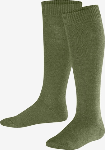 FALKE Socken 'Comfort Wool' in Grün: Vorderseite