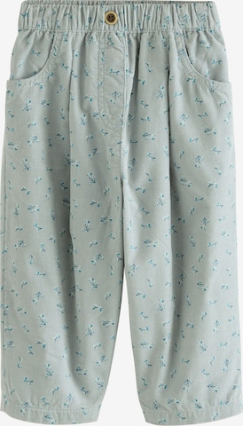 mėlyna Next Standartinis Kelnės: priekis