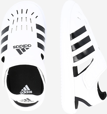 ADIDAS SPORTSWEAR Beach & Pool Shoes 'Summer Closed Toe Water' in White